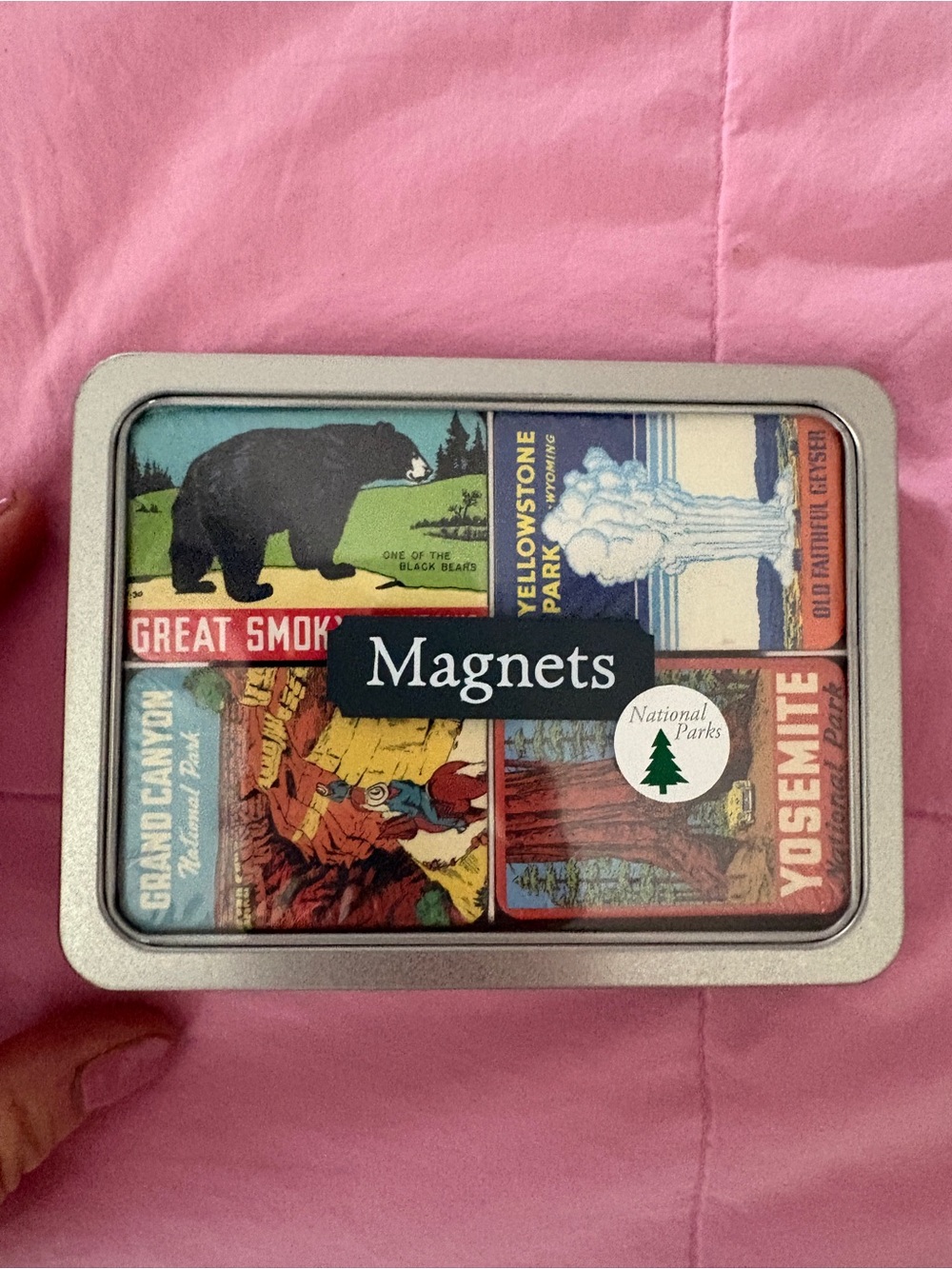 NEW National Parks Magnet Set Cavallini Papers & Co. National Parks Magnets